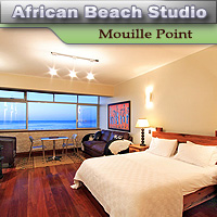African Beach Studio - Mouille Point