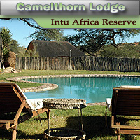 Camelthorn Kalahari Lodge - Intu Africa Game Reserve - Kalahari Desert