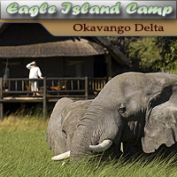 Eagle Island Camp - Okavango Delta