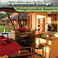 Ekuthuleni Lodge - Welgevonden Game Reserve