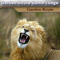 Garden Route Game Lodge - Albertinia