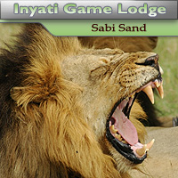 Inyati Game Reserve - Sabi Sand Game Reserve