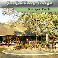 Jackalberry Lodge - Thornybush Reserve