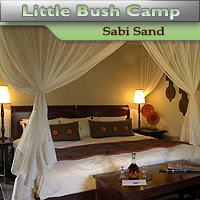 Little Bush Camp - Sabi Sand Game Reserve
