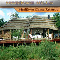 Madikwe Hills Private Game Lodge - Madikwe Game Reserve