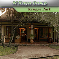 N'Kaya Camp - Thornybush - Kruger National Park