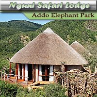 Nguni River Lodge - Addo Elephant National Park