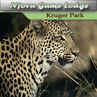 Njovu Game Lodge - Kruger National Park