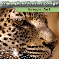 Nkambeni Tented Lodge - Kruger National Park
