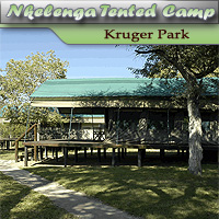 Nkelenga Tented Camp - Thornybush - Kruger National Park
