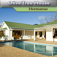 Olive Tree Country House - Hermanus Olive Tree Country House - Hermanus