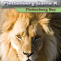 Plettenberg Bay Game Reserve - Plettenberg Bay