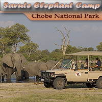 Savute Elephant Camp - Savute - Chobe National Park