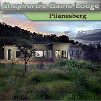 Shepherd's Tree Game Lodge - Pilanesberg