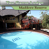 Tau Game Lodge - Madikwe Game Reserve