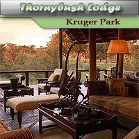 Thornybush Game Lodge - Thornybush - Kruger National Park