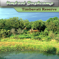 Umlani Bushcamp - Timbavati Nature Reserve