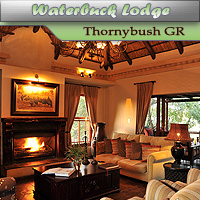 Waterbuck Lodge - Thornybush Game Reserve