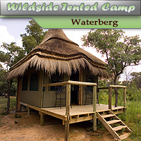 Wildside Luxury Tented Safari Camp - Waterberg