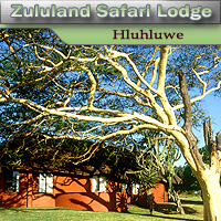 Zululand Safari Lodge - Hluhluwe