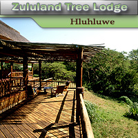 Zululand Tree Lodge - Hluhluwe
