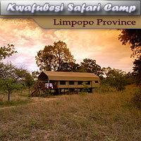 Kwafubesi Tented Camp - Limpopo Province