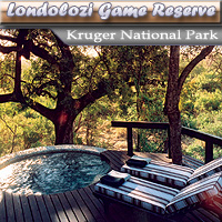 Londolozi Private Game Reserve - Kruger N Park
