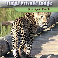 Tinga Private Game Lodge - Kruger National Park